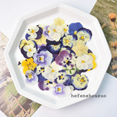 河粉手作装 饰真花diy角堇干花三色堇随机颜色押花相框滴手工材料