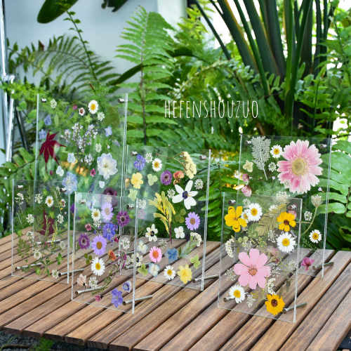 植物干花透明亚克力手工制作标本