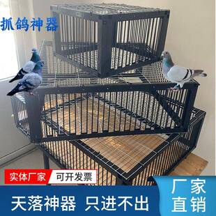 信鸽天落神器天落笼收鸽子回收铁丝条逮鸽子的笼子大号自动特大号