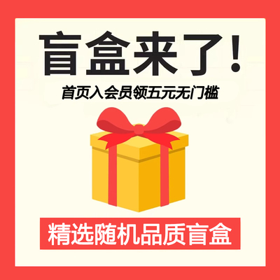 男童女童精选随机盲盒