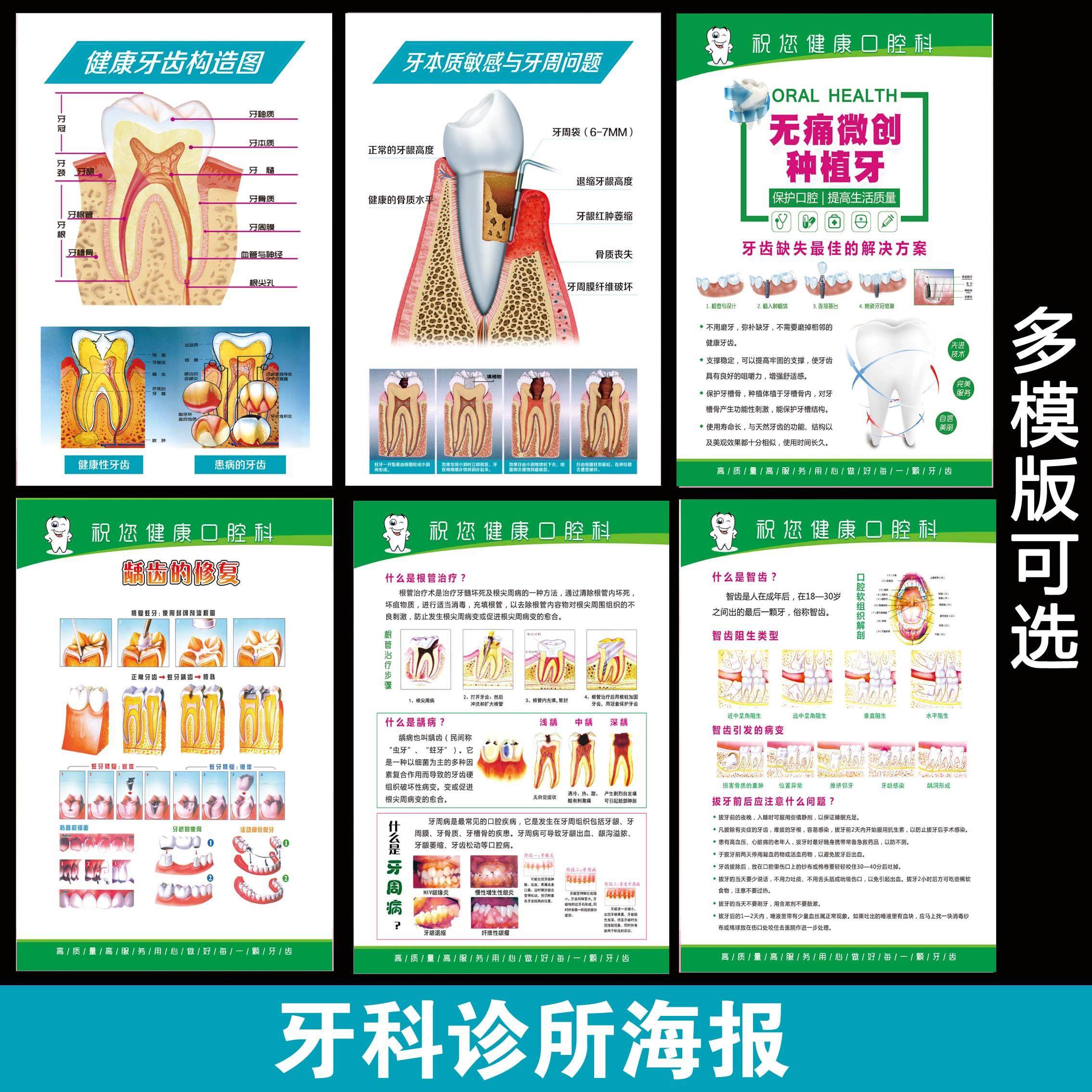 牙科口腔科诊所门诊海报知识宣传画广告大挂图展板烤瓷牙齿解剖图