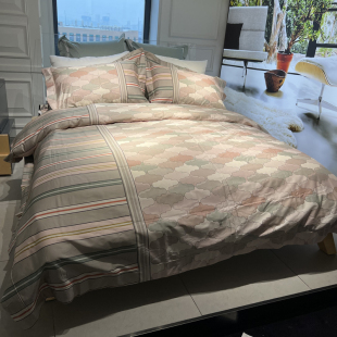 多喜爱新绒棉四件套1.8m全棉欧式 230 复古风芭莎联名床上用品229