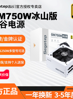 鑫谷GM750W冰山版850W金牌全模组台式电脑电源650W主机电源5070
