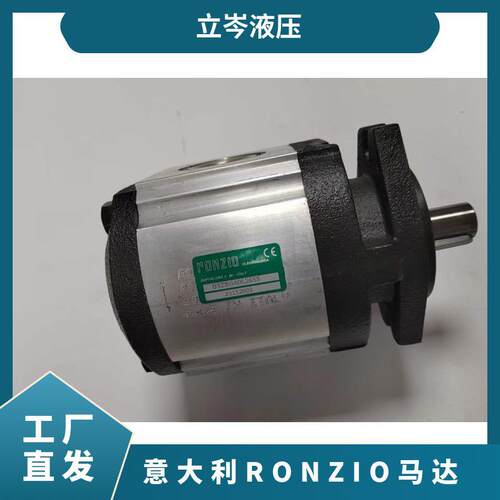 意大利RONZIO罗茨齿轮泵液压机