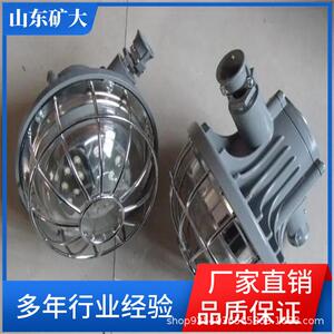 矿用隔爆型LED巷道灯隔爆好维护质量好发货快