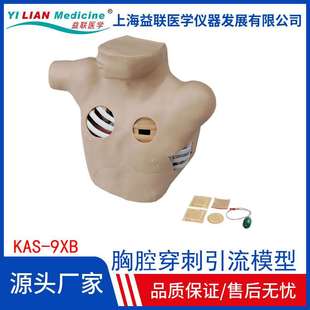 胸腔穿刺引流模型 胸腔引流模型胸腔穿刺模拟人胸部穿刺模型