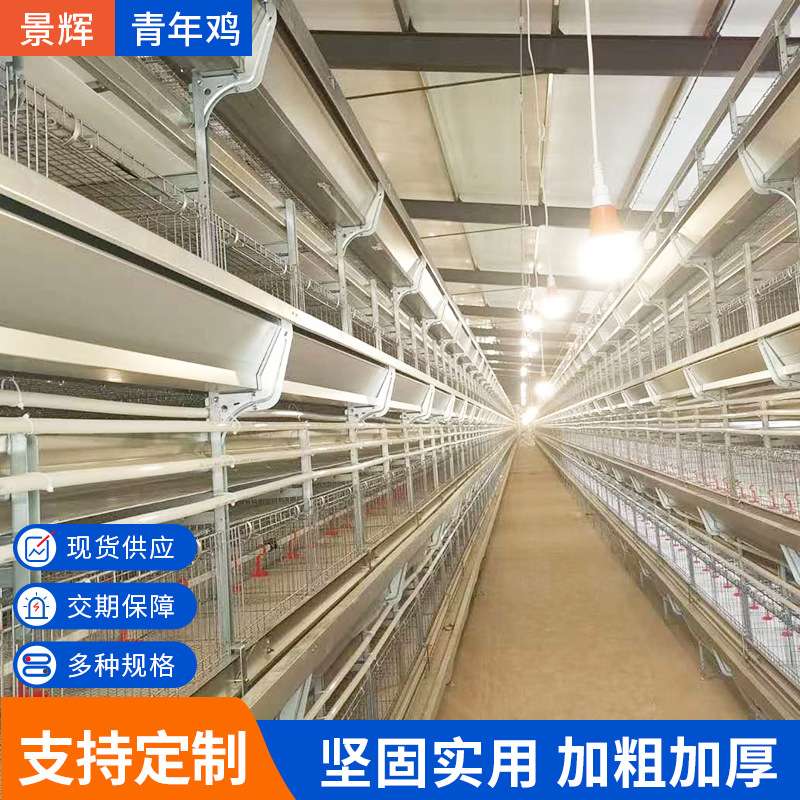 青年鸡蛋鸡笼全自动蛋鸡养殖笼子组合式自动化养鸡笼养殖配套设备