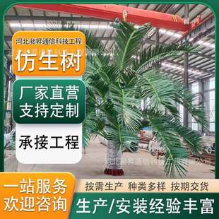 铁塔供应各种型号的仿生松树铁塔棕榈树仿生塔仿真美化塔