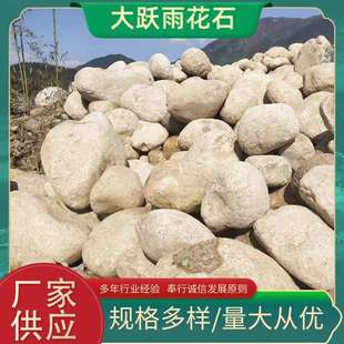 大跃雨花石河滩石河卵石大型鹅卵石现货充裕