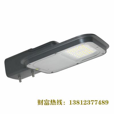 直销高品质高光效全压铸小巧型路灯防飞BRP13070W
