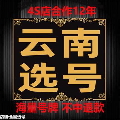 昆明曲靖大理文山玉溪昭通楚雄红河临沧12123自编占用号码选