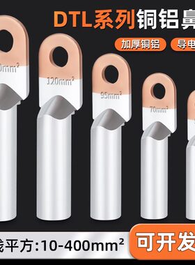 铜铝线鼻子国标接线端子