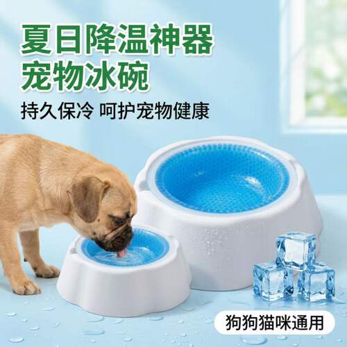 猫狗专用清凉冰碗夏季降温储冰保鲜喝水吃饭便携实用宠物用品盆