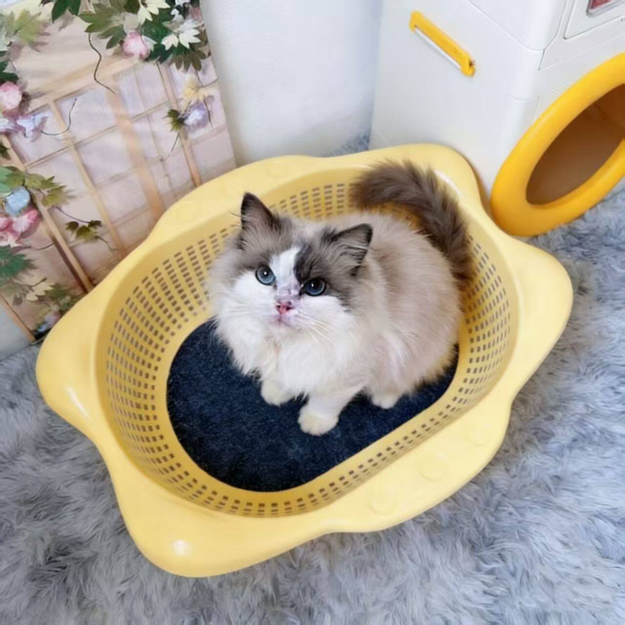 菜篮子猫窝夏季透气凉爽降温猫床加厚PP舒适耐抓垫子可水洗宠物窝