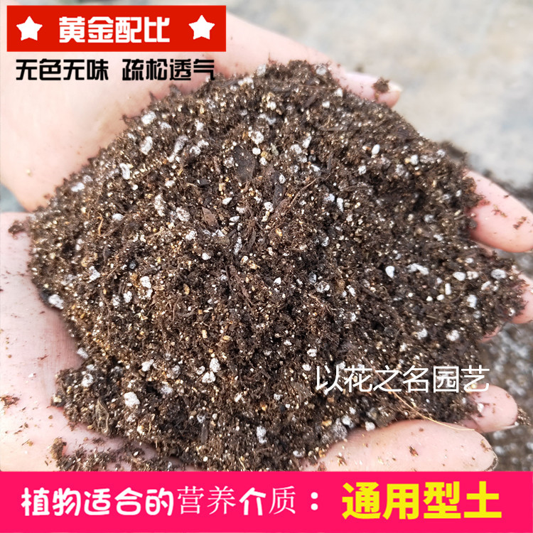 花土通用型家用多肉专用营养土养花种...