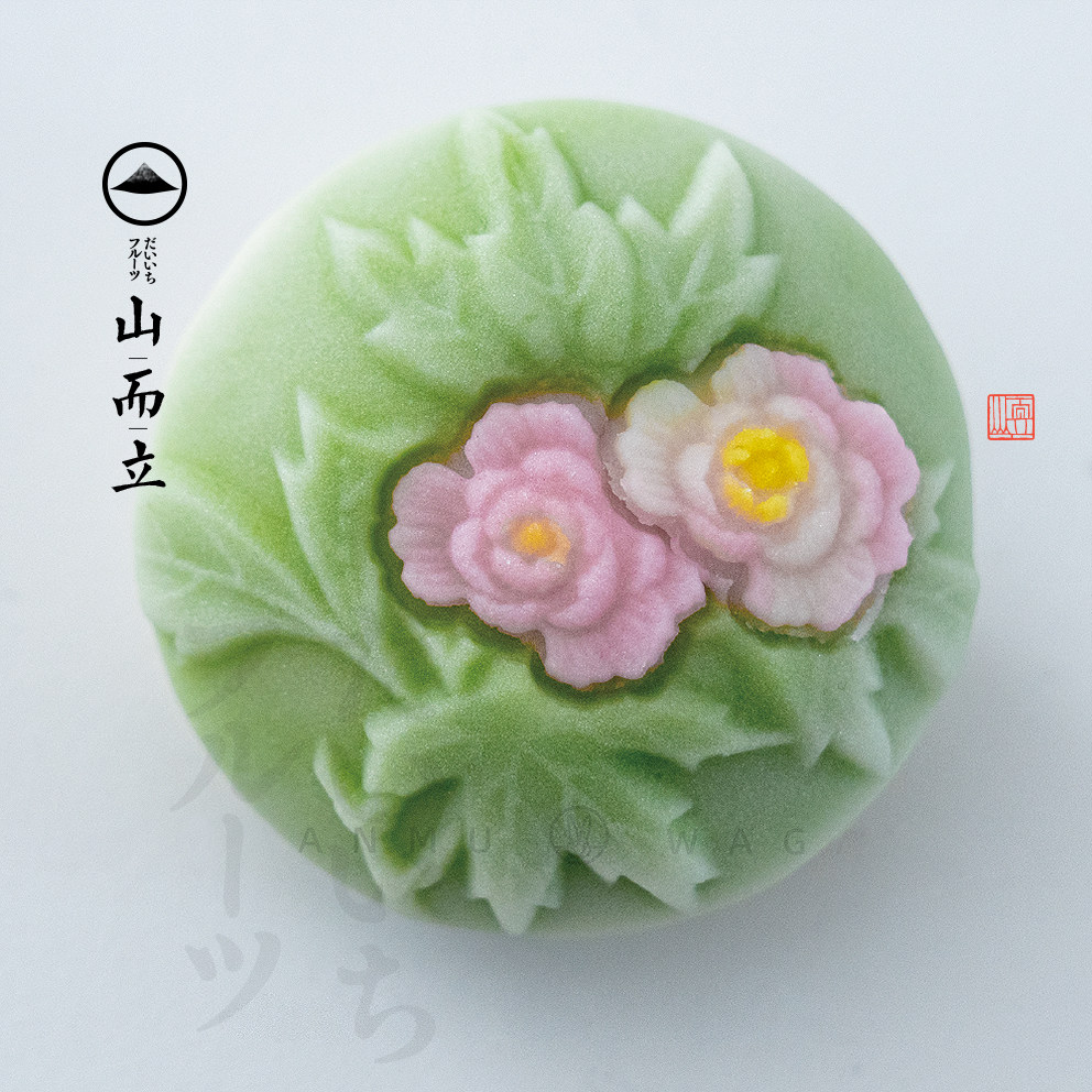 立体芙蓉花硅胶模具芙蓉花瓣翻糖和果子工具茶果子菓子侧面樱花