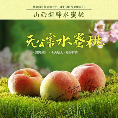 果园直供现摘桃子4.5斤运城绛州红不软水蜜桃时令水果新鲜桃子|msdalam kategori daging perikanan/Buah-buahan segar dan sayur-sayuran/dimasak, buah-buahan segar, Peach - dari Buy2taobao.com untuk memberikan perkhidmatan ejen Taobao profesional membeli
