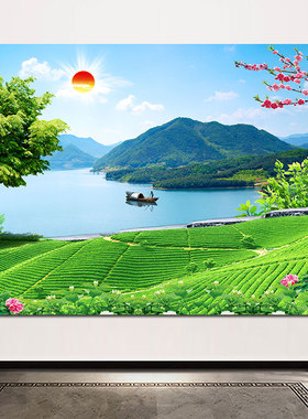 是壁画欧零茶园茶山自然绿色