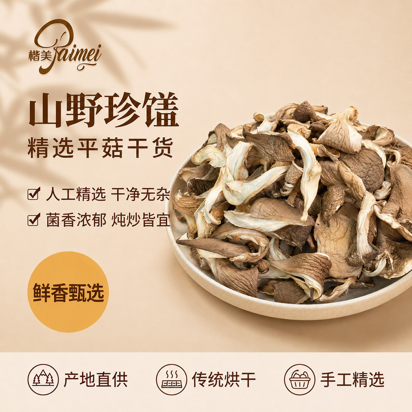平菇干货食用北风菌干蘑菇片农家山珍白菇营养凤尾菇新货散装500g