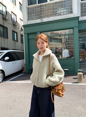 WHYSTUDIO_lemair*重磅粗针四色定染混纺立领翻领2ways毛衣外套