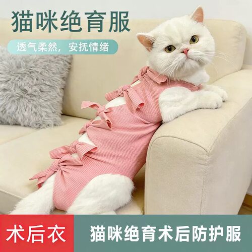买一送一绝育服母猫手术衣猫咪术后断奶服防舔可调节绑带透气护肚