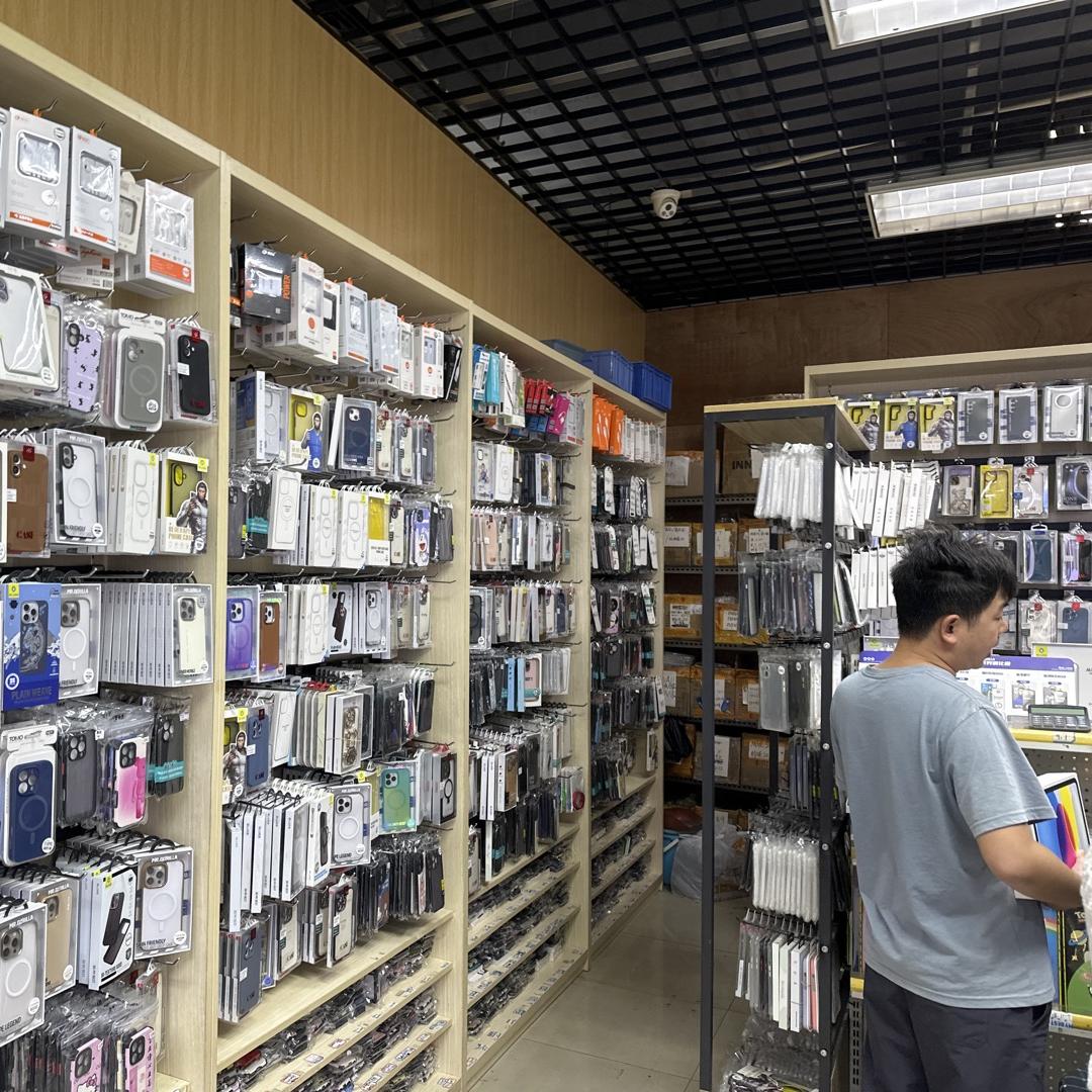 一行白鹭上青天