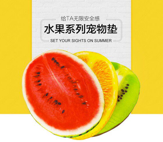 宠物夏天透气降温可拆洗狗窝坐垫猫狗垫子