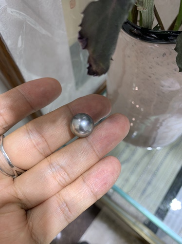 520礼物 孔后无暇13.58mm大溪地铂金灰裸珠 真科研SS一级证书