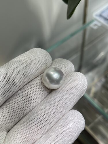Guild 凤凰Phoniex澳白裸珠 正圆16.59mm，透亮，冷光