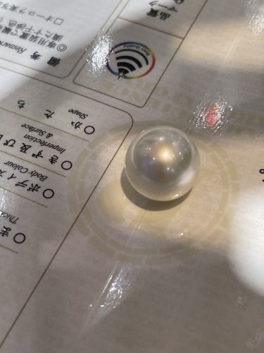 巨无霸16.0mm冷青光澳白 真科研ss维纳斯一级证书 珠层1.8mm