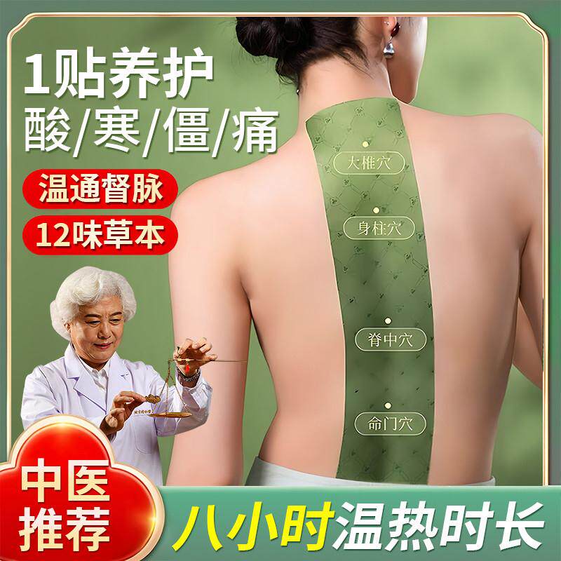 艾草龙骨督脉贴三伏晒背驱寒祛湿温灸背神器发热腰背脊颈椎艾灸贴