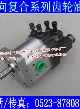 新款CBS-D312复合双向齿轮油泵D314 D316电液推杆中小型工程包邮