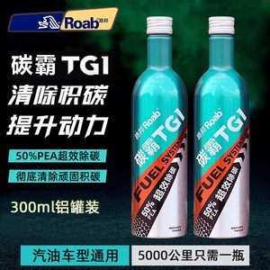 路邦碳霸TG1燃油系统清洗剂燃油宝汽油添加剂汽车三元催化除积碳
