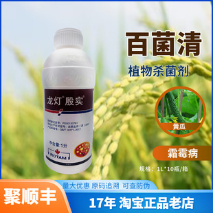 龙灯殷实百菌清悬浮剂1L 黄瓜 霜霉病植物杀菌剂农药