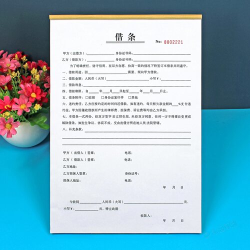 个人正规借条单本借款合同协议书