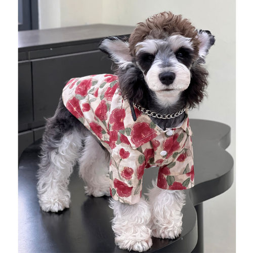 宠物猫咪狗狗衣服 韩系度假风夏日衬衫 中小大型犬防掉毛空调服