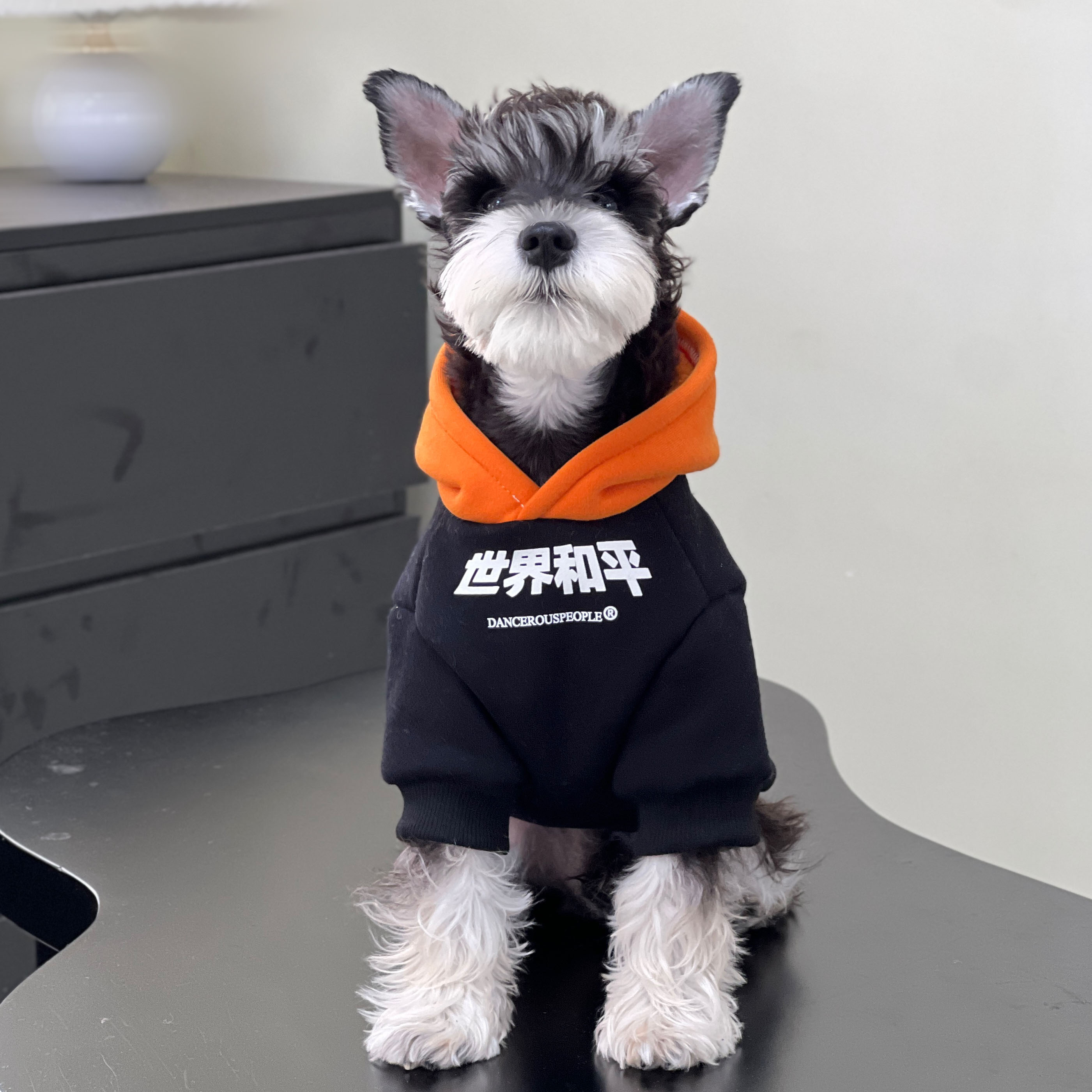 宠物猫狗衣服秋冬潮牌世界和平纯棉防掉毛空调服中小大型犬卫衣