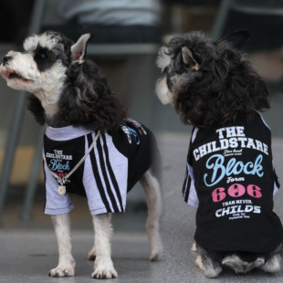 室内防掉毛服 宠物猫狗衣服 夏季 纯棉黑拼灰606T恤 中小大型犬