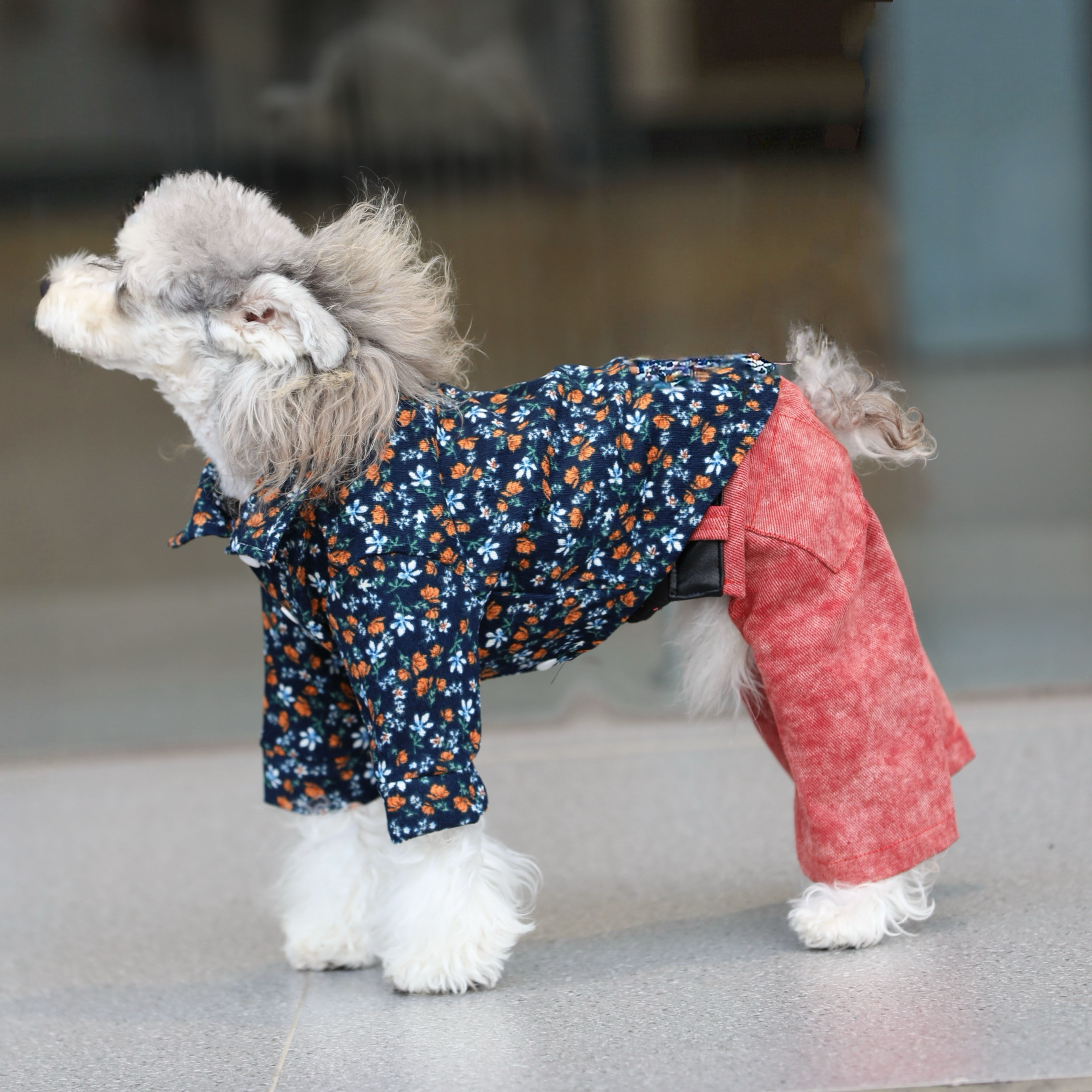 宠物猫狗衣服 秋冬灯芯绒碎花衬衫 雪纳瑞比熊泰迪中小大型犬衣服