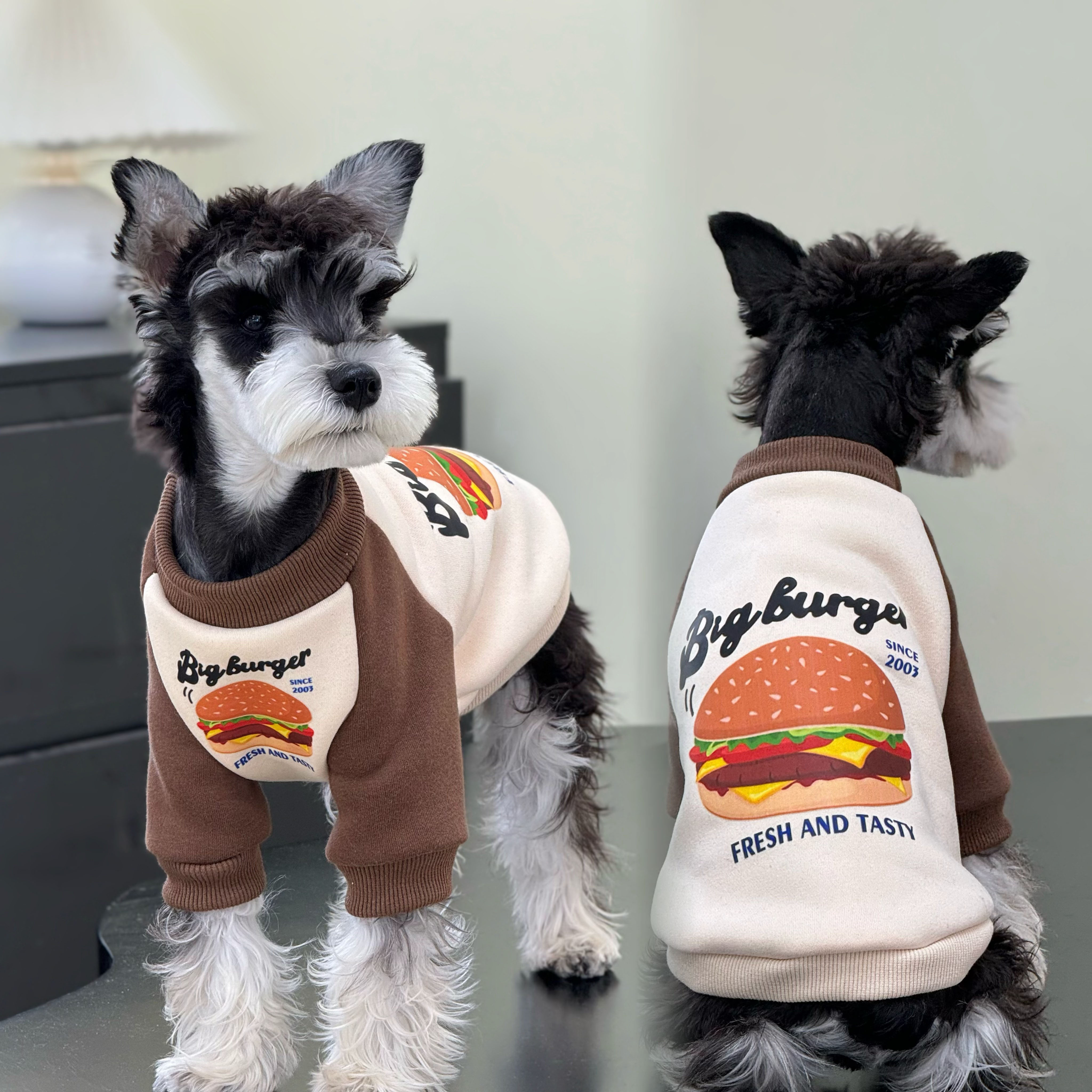 宠物猫咪狗狗秋冬雪纳瑞衣服拼色汉堡加绒纯棉潮牌卫衣中小大型