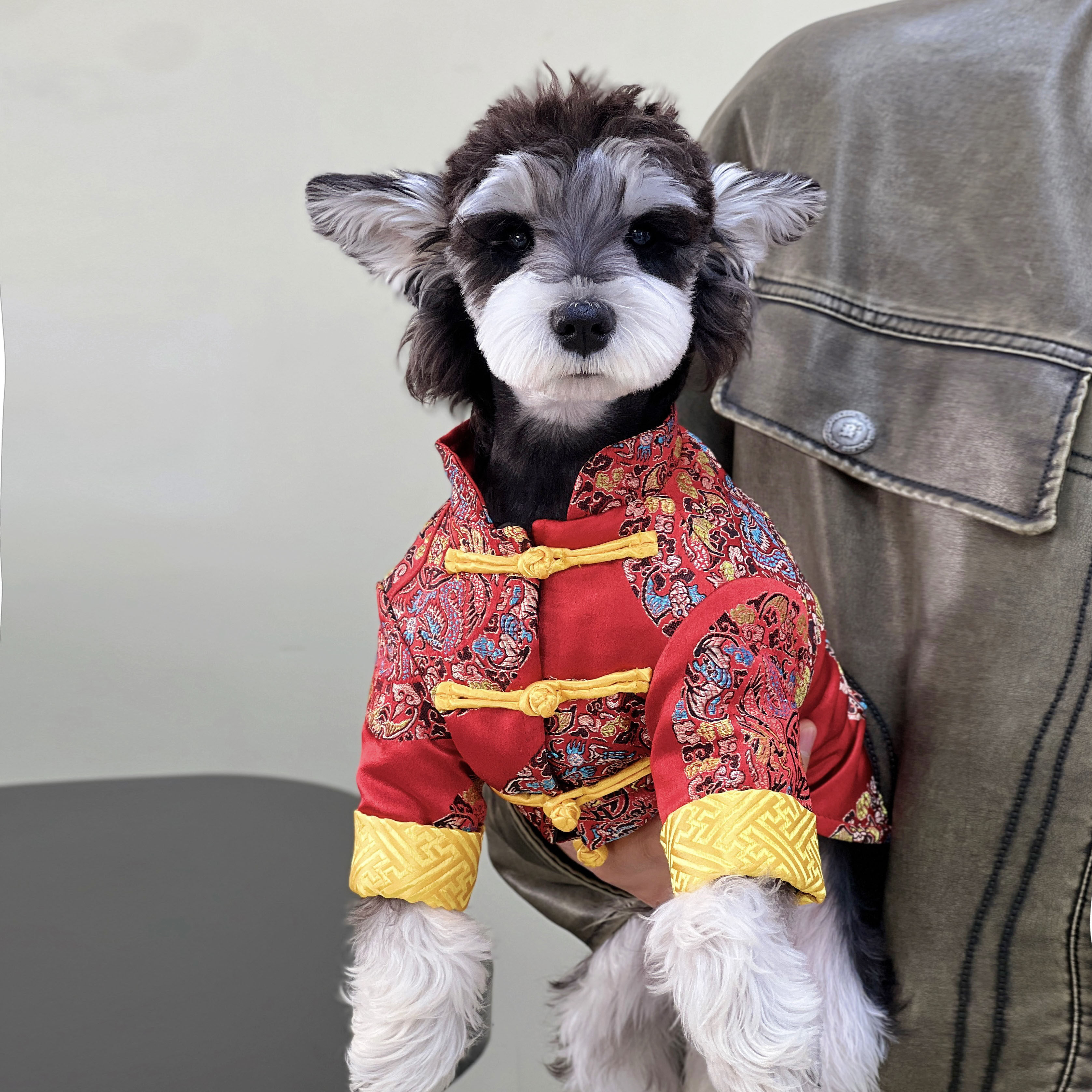 宠物猫咪狗狗衣服 冬季加厚保暖 新年喜庆复古唐装棉衣中小大型犬,宠物/宠物食品及用品,猫宠物服装/雨衣（新）,淘宝优惠券,粉丝福利购,淘宝优惠卷