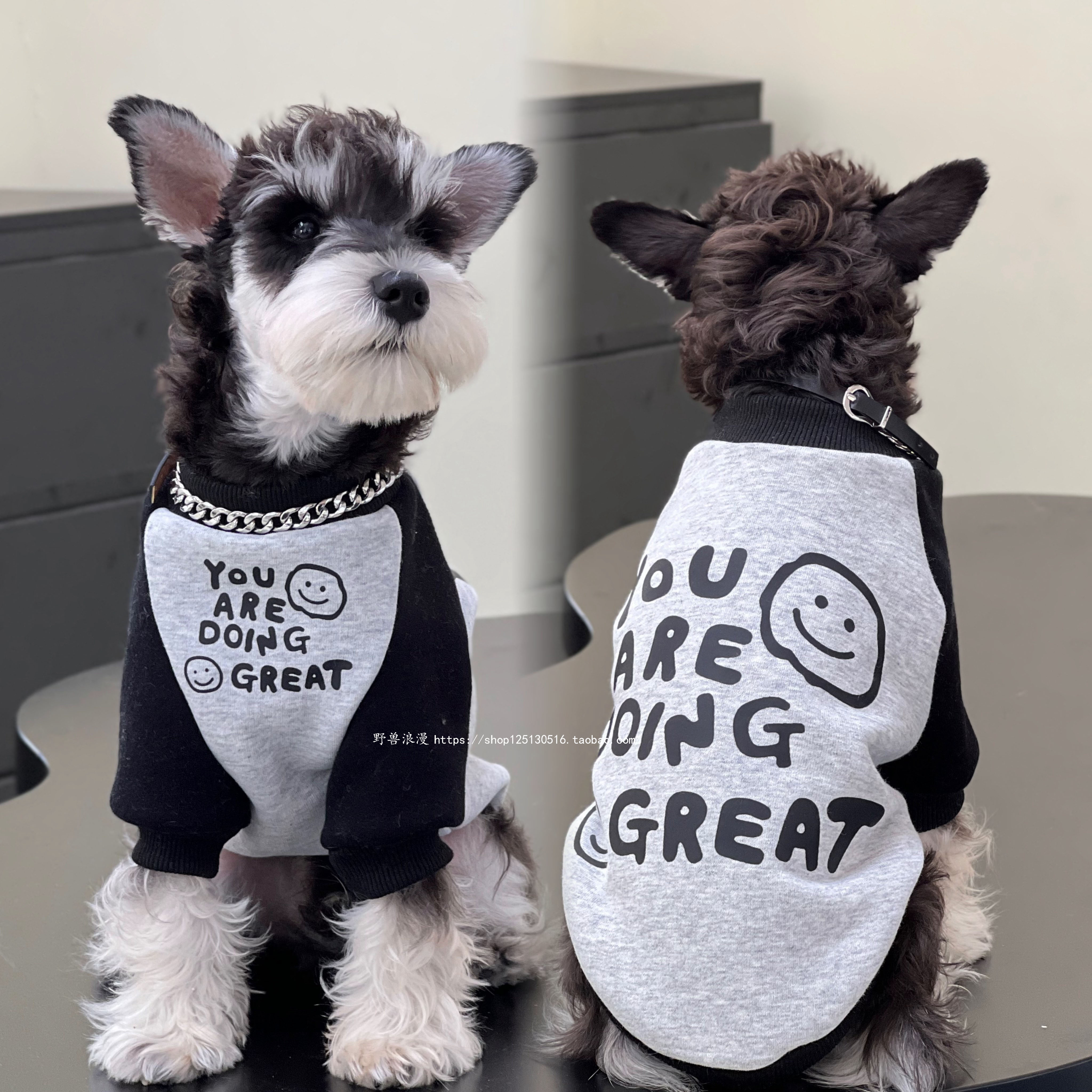 宠物猫咪狗狗秋冬新款 黑拼灰英文笑脸纯棉保暖卫衣 中小大犬衣