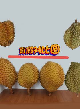 仿真榴莲模型假金枕猫山王道具