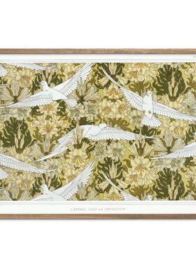 liveart 动植物图案原创小众装饰画海报Maurice Pillard Verneuil