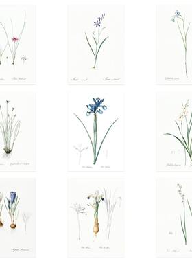 liveart法国画家花卉2画芯海报