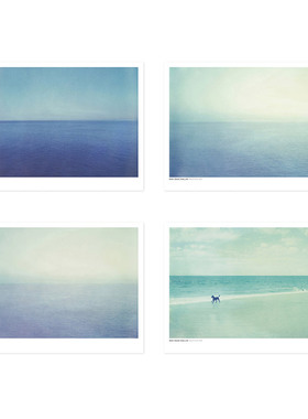 进口瑞典Dan Isaac Walli宝丽来摄影海洋原版装饰画海报PACIFICO