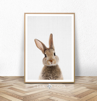 萌萌哒小猪兔子猫咪考拉装饰画芯