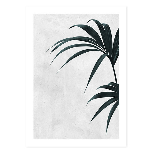 德国设计师植物装饰画
