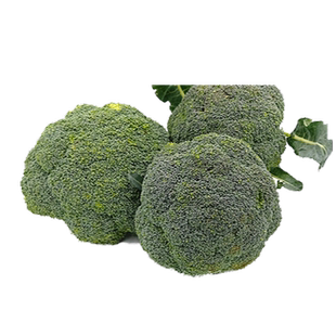 2025槐花新鲜冰冻洋槐花新鲜槐花骨朵蒸菜野菜顺丰包邮冰鲜发货