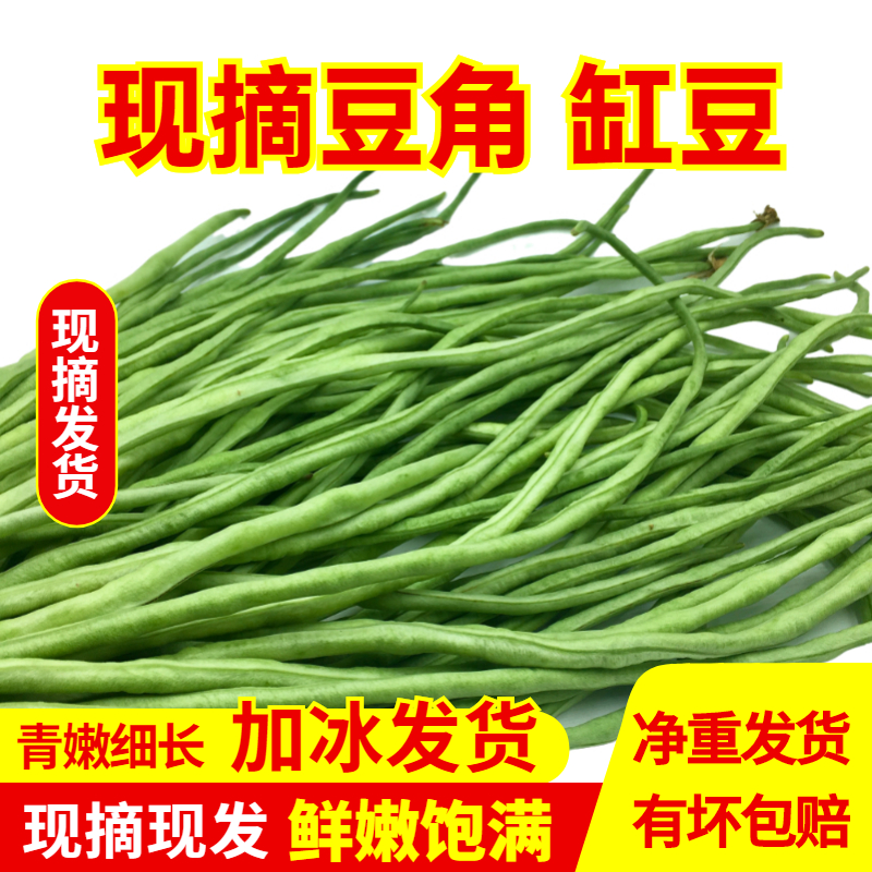 新鲜豇豆现摘4斤长豆角时令蔬菜嫩豆角姜豆农家自种顺丰包邮